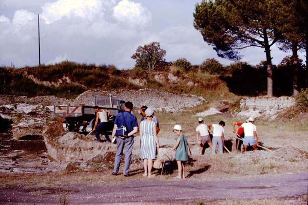 II.5 Pompeii. 1966. Looking east. Photo by Stanley A. Jashemski.
Source: The Wilhelmina and Stanley A. Jashemski archive in the University of Maryland Library, Special Collections (See collection page) and made available under the Creative Commons Attribution-Non Commercial License v.4. See Licence and use details.
J66f0891
