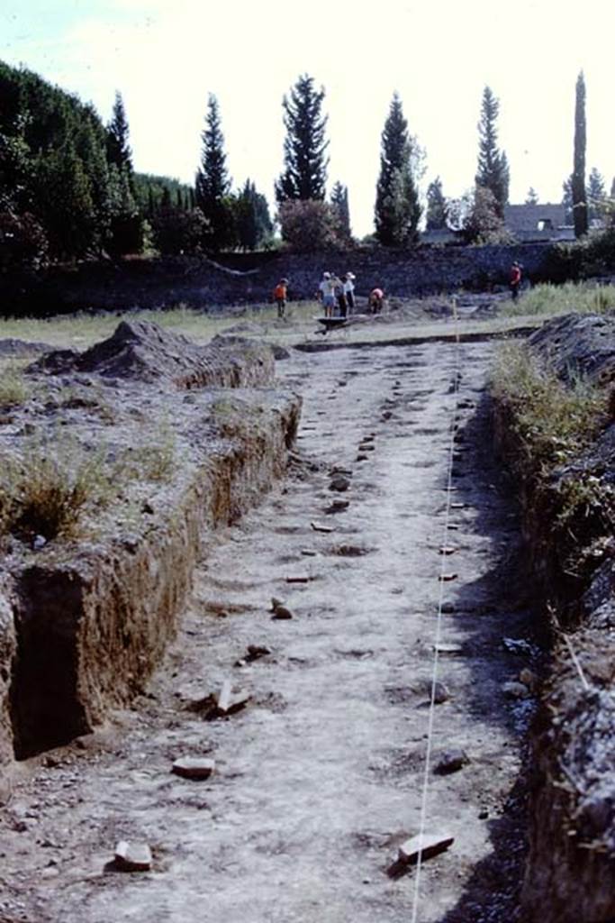 II.5 Pompeii. 1966. Looking west from the centre of the insula. Photo by Stanley A. Jashemski.
Source: The Wilhelmina and Stanley A. Jashemski archive in the University of Maryland Library, Special Collections (See collection page) and made available under the Creative Commons Attribution-Non Commercial License v.4. See Licence and use details.
J66f0938
