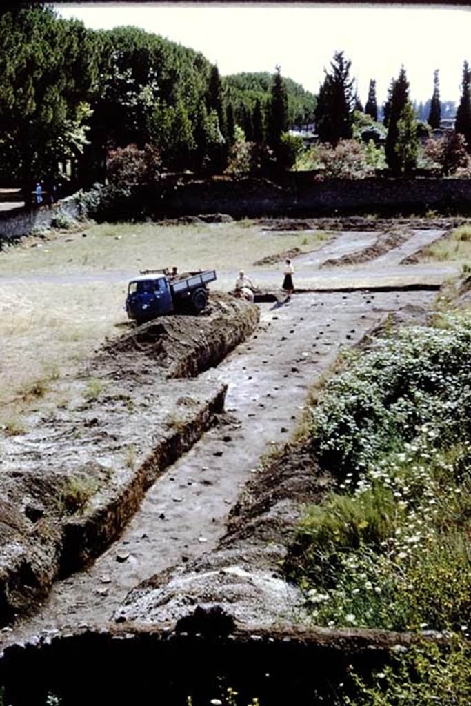 II.5 Pompeii. 1966. Looking west along line of root cavities in the centre of the insula. 
Photo by Stanley A. Jashemski.
Source: The Wilhelmina and Stanley A. Jashemski archive in the University of Maryland Library, Special Collections (See collection page) and made available under the Creative Commons Attribution-Non Commercial License v.4. See Licence and use details.
J66f0768
