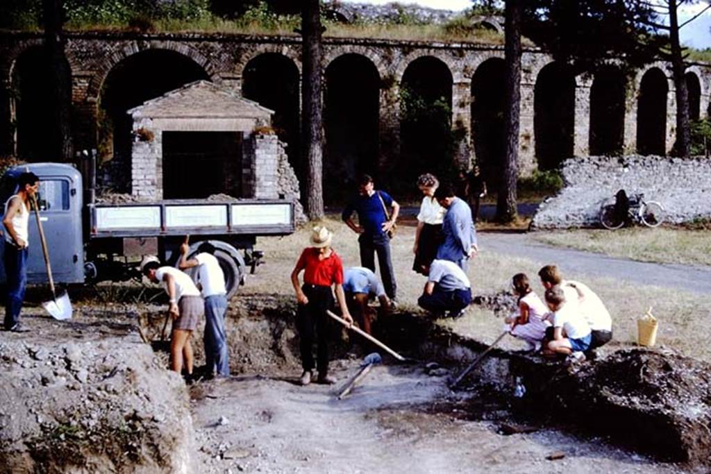 II.5 Pompeii. 1966. Looking south. Photo by Stanley A. Jashemski.
Source: The Wilhelmina and Stanley A. Jashemski archive in the University of Maryland Library, Special Collections (See collection page) and made available under the Creative Commons Attribution-Non Commercial License v.4. See Licence and use details.
J66f0777
