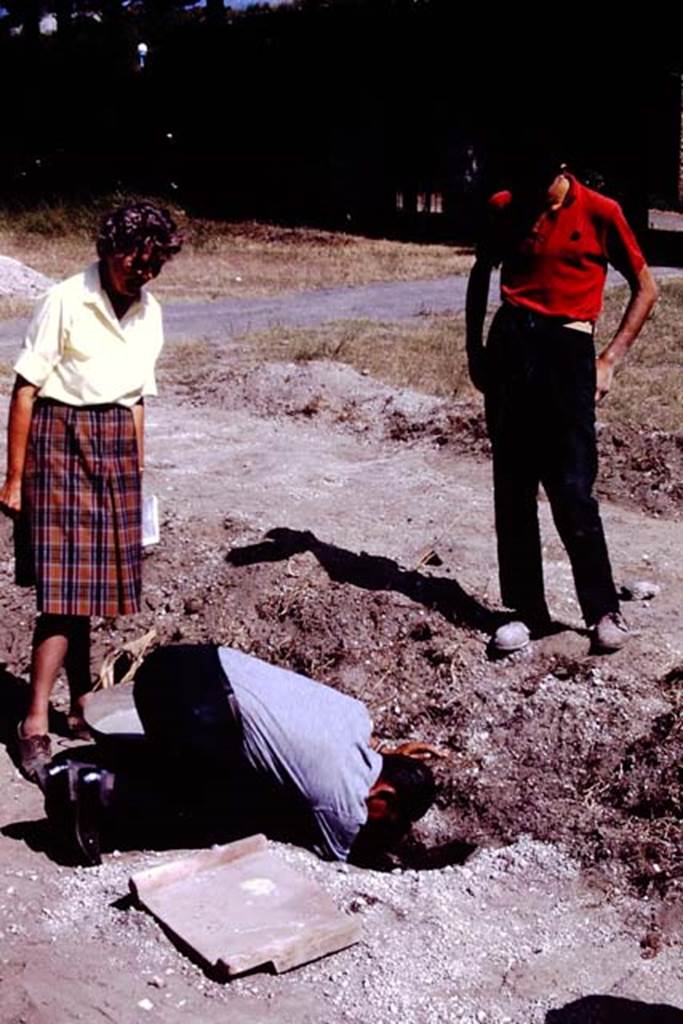 II.5 Pompeii. 1966. Heads down. Photo by Stanley A. Jashemski.
Source: The Wilhelmina and Stanley A. Jashemski archive in the University of Maryland Library, Special Collections (See collection page) and made available under the Creative Commons Attribution-Non Commercial License v.4. See Licence and use details.
J66f0935
