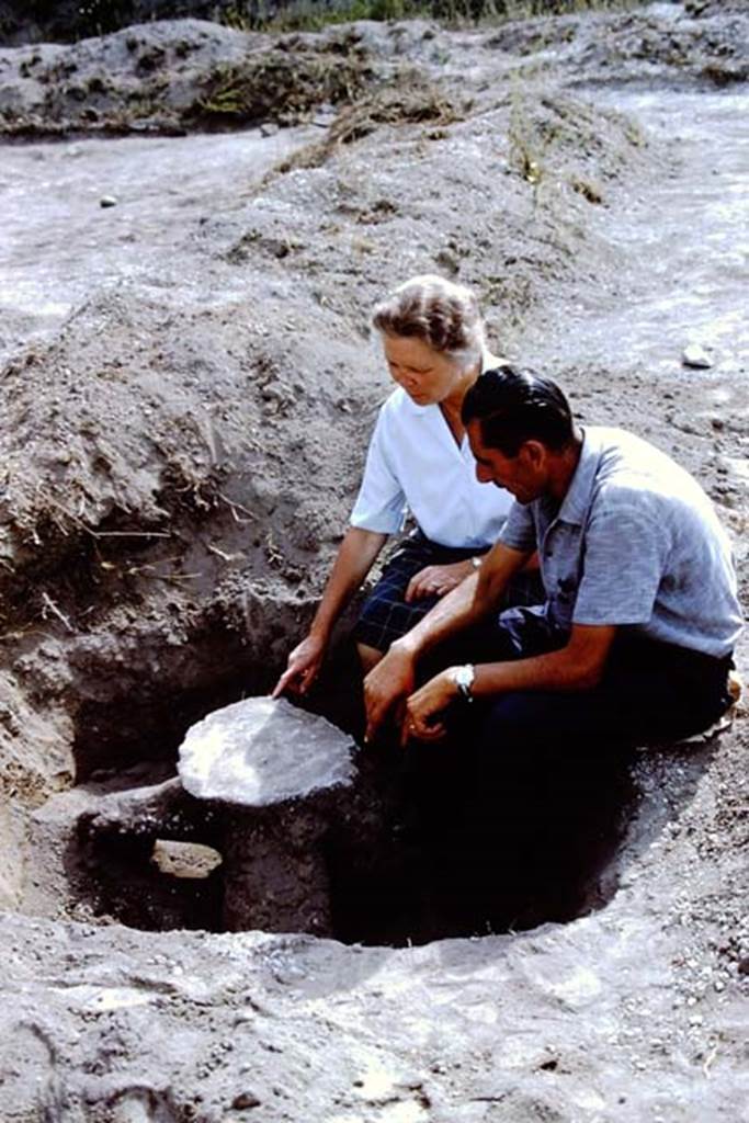 II.5 Pompeii. 1966. Wilhelmina and Sig. Sicignano discuss the tree-root cast. Photo by Stanley A. Jashemski.
Source: The Wilhelmina and Stanley A. Jashemski archive in the University of Maryland Library, Special Collections (See collection page) and made available under the Creative Commons Attribution-Non Commercial License v.4. See Licence and use details.
J66f1110
