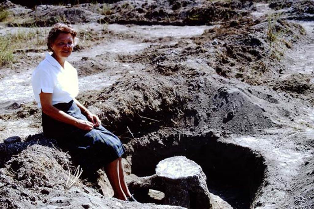 II.5 Pompeii. 1966. Wilhelmina in her vineyard  not the cattle market.  Photo by Stanley A. Jashemski.
Source: The Wilhelmina and Stanley A. Jashemski archive in the University of Maryland Library, Special Collections (See collection page) and made available under the Creative Commons Attribution-Non Commercial License v.4. See Licence and use details.
J66f1130
