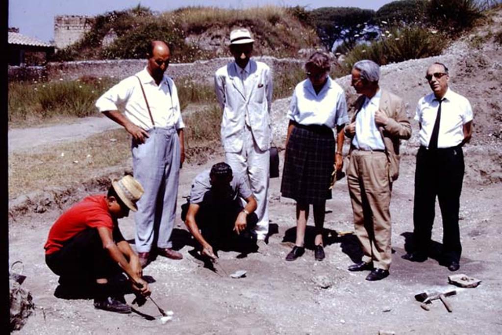 II.5 Pompeii. 1966. Distinguished visitors view the site, amongst others  Dott. Carlo Giordano and Prof. de Franciscis. Wilhelmina was delighted when Prof. de Franciscis, who had encouraged her to work in the Foro Boario, came to visit the excavations. He was very enthusiastic and said that the site should be excavated completely, and the fill removed. 
He hoped to raise the money so that the vineyard could be replanted as it had been in antiquity. Photo by Stanley A. Jashemski.
Source: The Wilhelmina and Stanley A. Jashemski archive in the University of Maryland Library, Special Collections (See collection page) and made available under the Creative Commons Attribution-Non Commercial License v.4. See Licence and use details.
J66f0961
