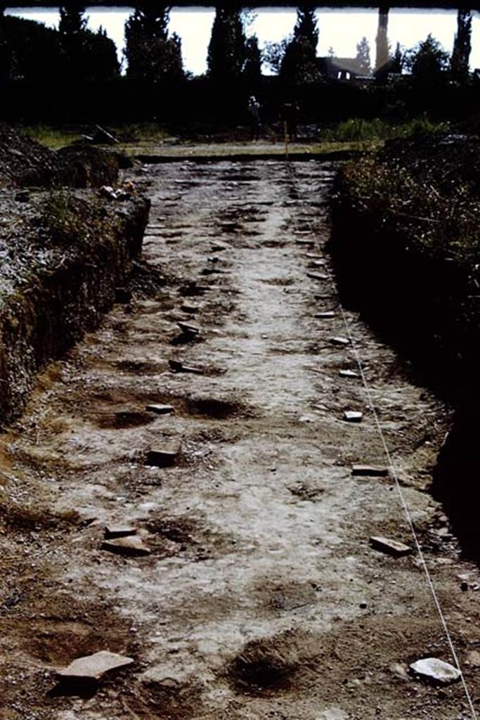 II.5 Pompeii. 1966. Looking west along lines of vine root cavities. Photo by Stanley A. Jashemski.
Source: The Wilhelmina and Stanley A. Jashemski archive in the University of Maryland Library, Special Collections (See collection page) and made available under the Creative Commons Attribution-Non Commercial License v.4. See Licence and use details.
J66f1137
