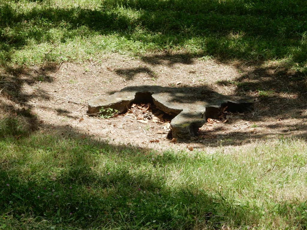 II.7 Pompeii. June 2019. Plaster cast of plane tree roots. Photo courtesy of Buzz Ferebee.