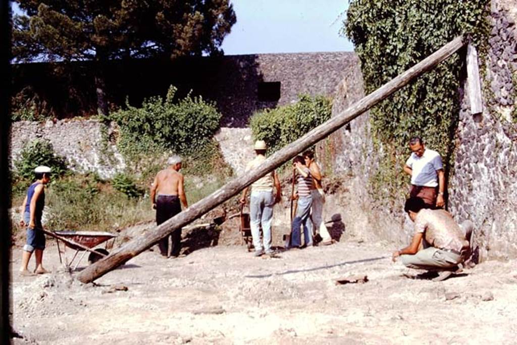 II.8.6 Pompeii, 1973. Looking east along south side of site. Photo by Stanley A. Jashemski. 
Source: The Wilhelmina and Stanley A. Jashemski archive in the University of Maryland Library, Special Collections (See collection page) and made available under the Creative Commons Attribution-Non Commercial License v.4. See Licence and use details. J73f0202
