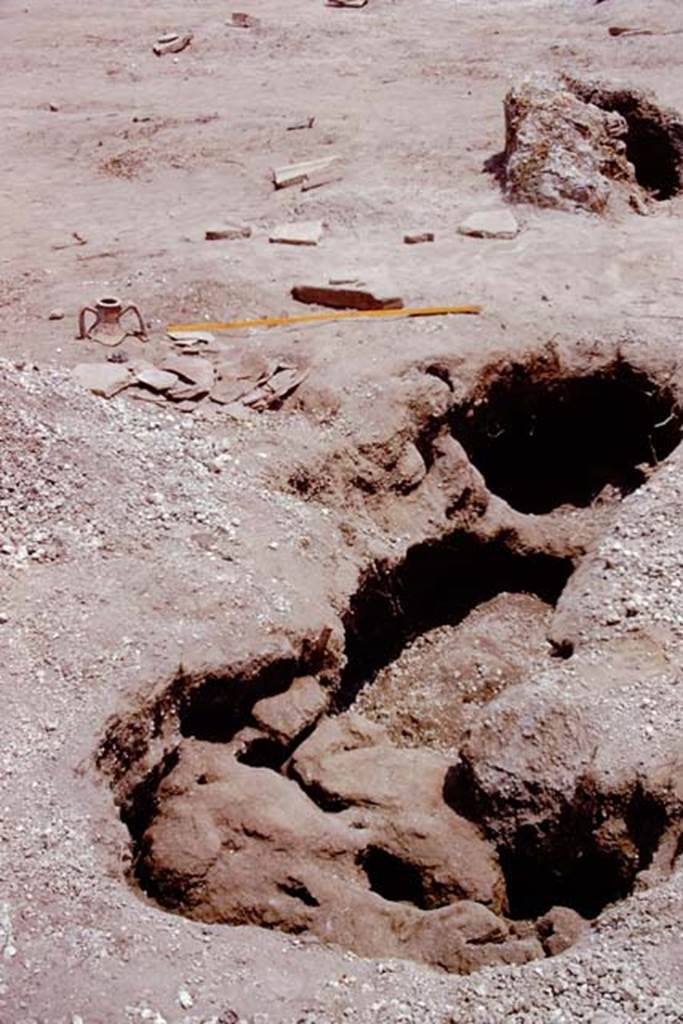 II.8.6 Pompeii, 1973. Large root cavity. Photo by Stanley A. Jashemski. 
Source: The Wilhelmina and Stanley A. Jashemski archive in the University of Maryland Library, Special Collections (See collection page) and made available under the Creative Commons Attribution-Non Commercial License v.4. See Licence and use details. J73f0261
