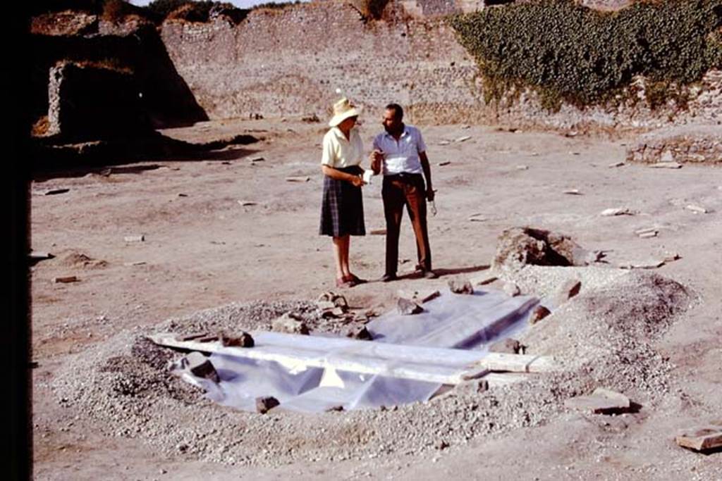 II.8.6 Pompeii, 1973. Looking north-east across site across large root cavity.  Photo by Stanley A. Jashemski. 
Source: The Wilhelmina and Stanley A. Jashemski archive in the University of Maryland Library, Special Collections (See collection page) and made available under the Creative Commons Attribution-Non Commercial License v.4. See Licence and use details. J73f0282
