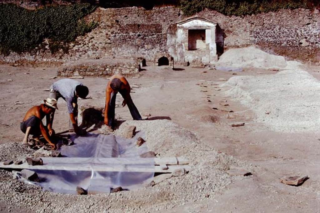 II.8.6 Pompeii, 1973. Looking east. Photo by Stanley A. Jashemski. 
Source: The Wilhelmina and Stanley A. Jashemski archive in the University of Maryland Library, Special Collections (See collection page) and made available under the Creative Commons Attribution-Non Commercial License v.4. See Licence and use details. J73f0283
