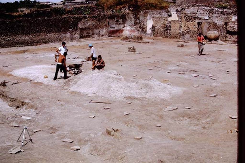 II.8.6 Pompeii, 1973. Looking across the site towards the north-west corner. Photo by Stanley A. Jashemski. 
Source: The Wilhelmina and Stanley A. Jashemski archive in the University of Maryland Library, Special Collections (See collection page) and made available under the Creative Commons Attribution-Non Commercial License v.4. See Licence and use details. J73f0329
