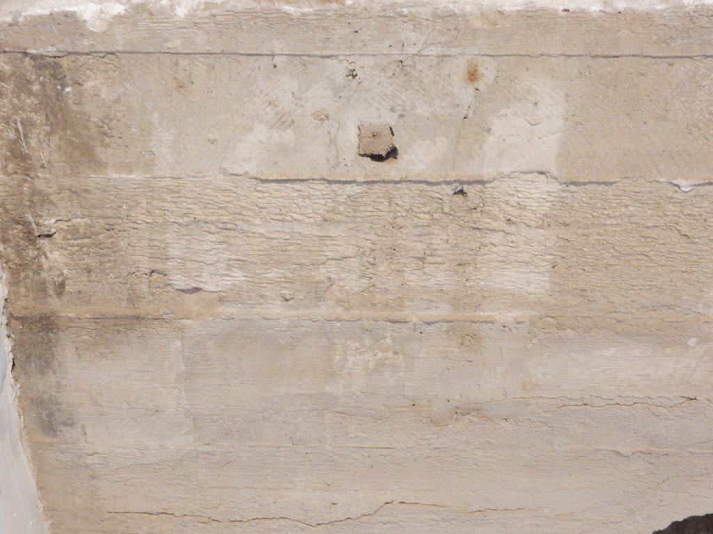 II.9.4 Pompeii. May 2018. Room 3, detail of plaster-cast. Photo courtesy of Buzz Ferebee. 