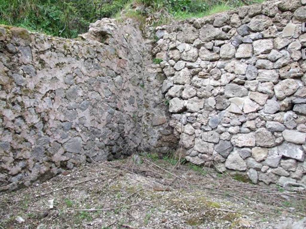 III.2.1 Pompeii.  March 2009.  Room 19.  North west corner.