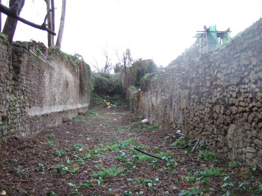 III.3 Pompeii. December 2005. Vicolo di Ifigenia looking north.                         III.4.f.