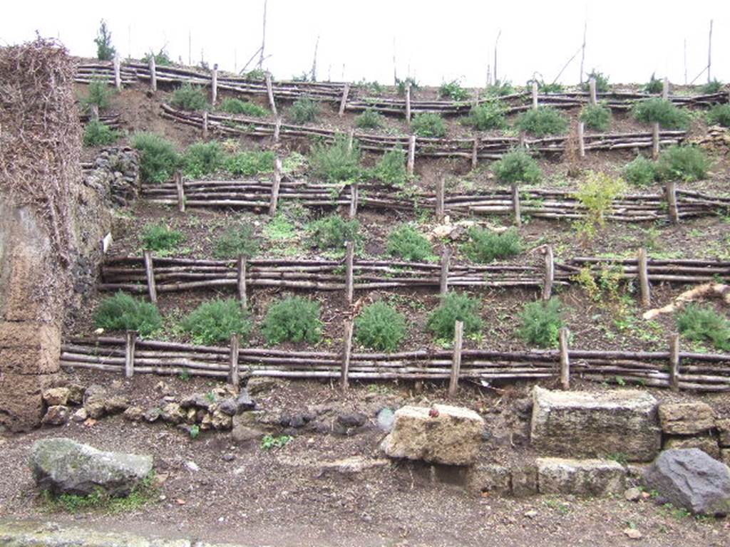 III.7.1 Pompeii. December 2005. Site of entrance doorway and collapsed and removed east front wall.