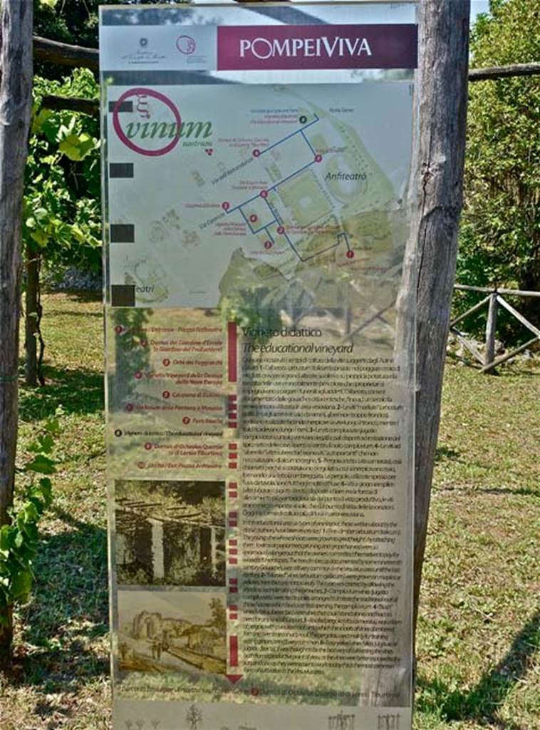 III.7 Pompeii. June 2012. Explanatory sign in vineyard. Photo courtesy of Michael Binns.