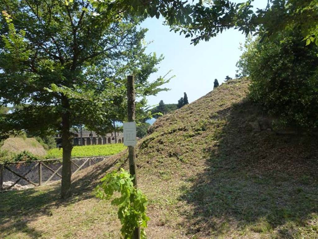 III.7 Pompeii. June 2012. Looking south towards ampitheatre, from north side of Via dell’Abbondanza. Photo courtesy of Michael Binns.
