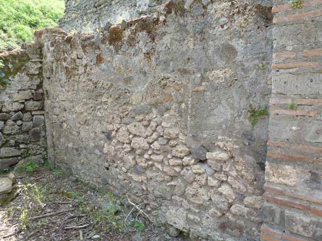 3.8.6 Pompeii. May 2010. West wall.