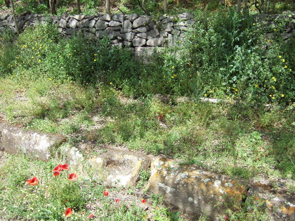 IV.4.c and IV.4.d, Pompeii.  May 2006.  Entrances.