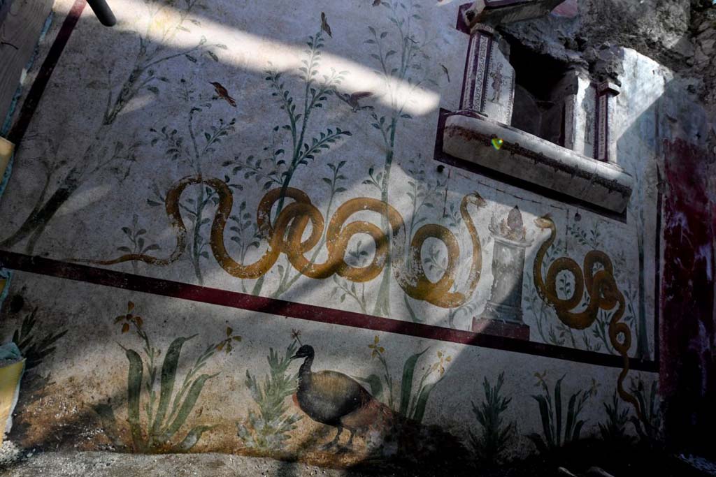 V.3.13 Pompeii. 2018. Room 2a. Lararium. East wall.
Painted plants blend and mix in the room with the real ones which must have thrived in the flowerbed under the lararium.
A painted peacock seems to tread the earth of the garden.

Parete est. Si mescolano e confondono nell'ambiente, piante dipinte con quelle vere che dovevano crescere rigogliose nell'aiuola sottostante il larario, mentre un pavone dipinto sembra calpestare il terreno del giardino.

Photograph © Parco Archeologico di Pompei.
