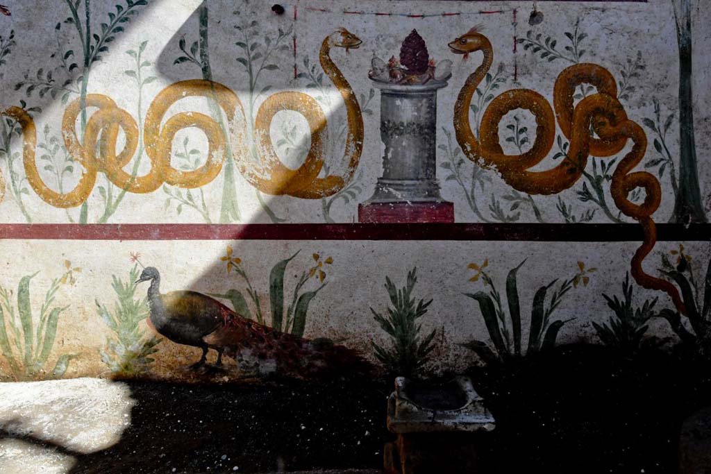 V.3.13 Pompeii. 2018. Room 2a. Lararium. East wall.
The painted altar with offerings (a pinecone and eggs) between the two serpents, is mirrored by a stone arula (small altar) found in the small garden.

Parete est. L'ara dipinta al centro dei due serpenti, con le offerte (la pigna e le uova), trova corrispondenza in un'arula (piccolo altare) in pietra ritrovata nel giardinetto.

Photograph © Parco Archeologico di Pompei.
