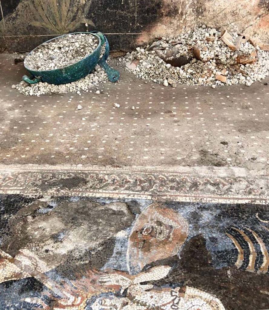 Regio V Pompeii. 2018. House of Jupiter. Bronze utensils and terracotta items on floor in room with the Orion mosaic.
Casa di Giove. Utensili in bronzo e oggetti in terracotta sul pavimento nellambiente con il mosaico di Orione.
Photograph  Parco Archeologico di Pompei.
