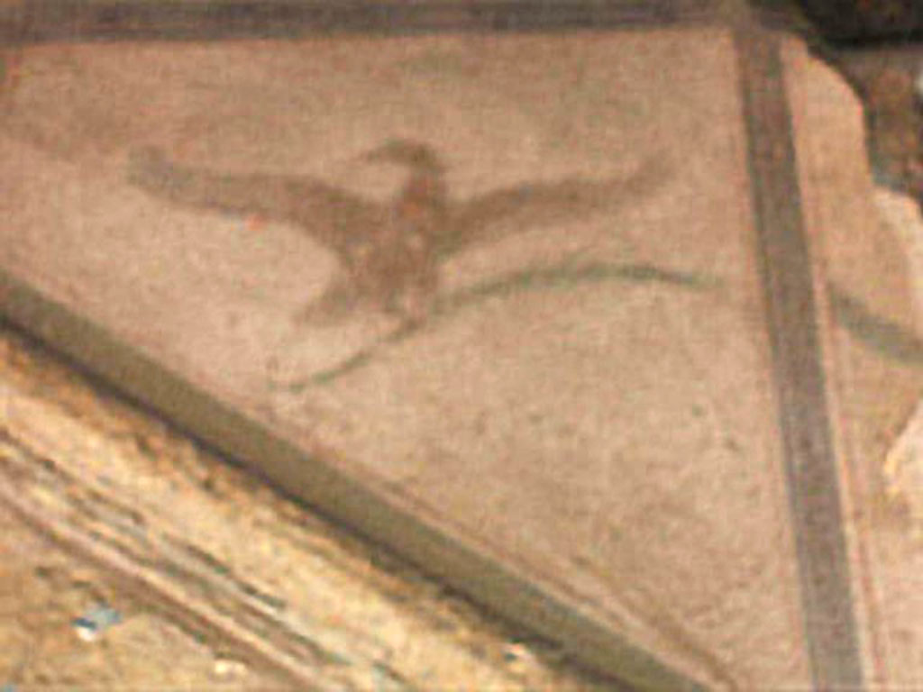 V.4.3 Pompeii. May 2005. Remains of aedicula lararium.  Painted bird.
According to Boyce, in each of the triangular panels above the pediment was painted an eagle in flight, holding a palm in its talons.
See Boyce G. K., 1937. Corpus of the Lararia of Pompeii. Rome: MAAR 14.  (p.40, no.118)
