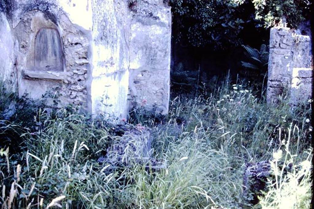 V.4.13 Pompeii, 1978. Looking towards lararium niche in north-west corner of garden area. Photo by Stanley A. Jashemski.   
Source: The Wilhelmina and Stanley A. Jashemski archive in the University of Maryland Library, Special Collections (See collection page) and made available under the Creative Commons Attribution-Non Commercial License v.4. See Licence and use details. J78f0279
