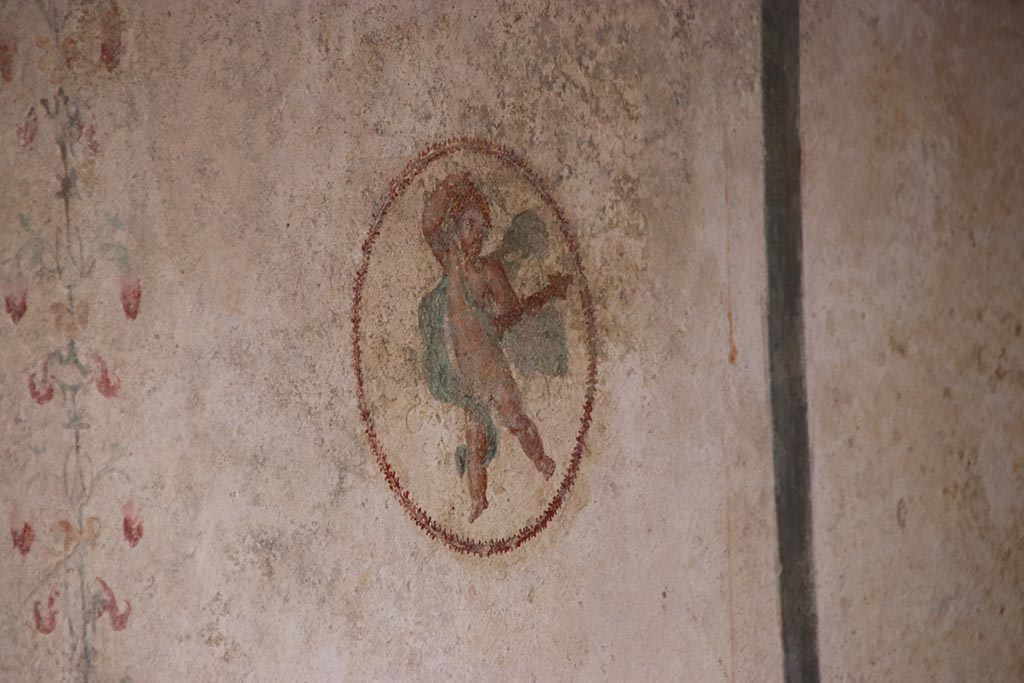 V.6.12 Pompeii. October 2024. Cubiculum 9, detail of medallion with cupid, from east end of north wall. Photo courtesy of Klaus Heese.