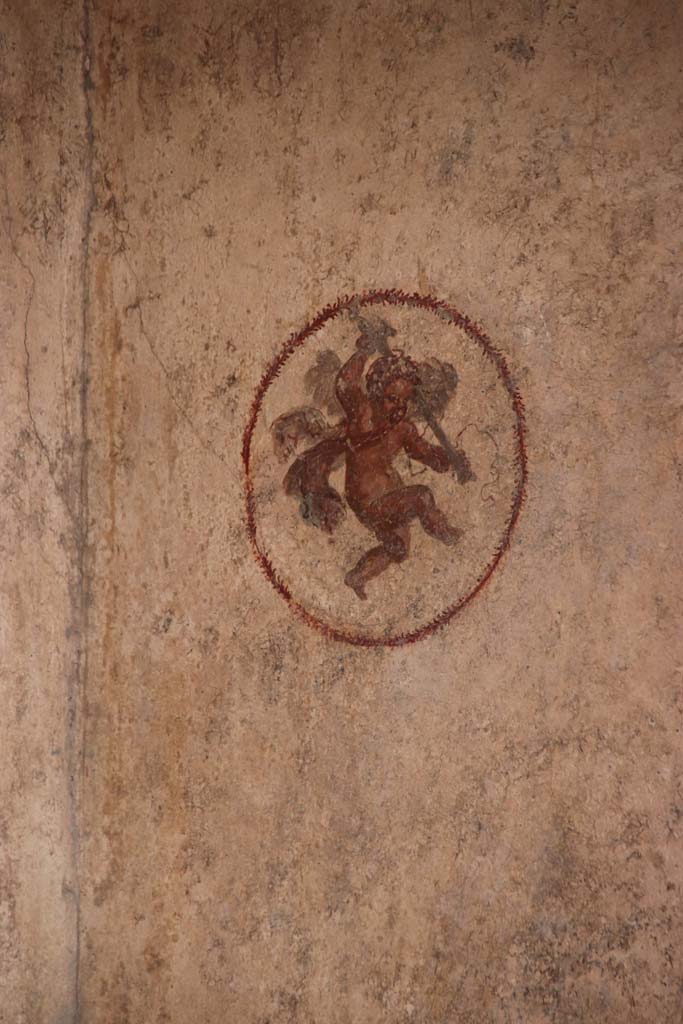 V.6.12 Pompeii. October 2020. Amb. 9. Medallion with Cupid, from east end of south wall of cubiculum. 
Photo courtesy of Klaus Heese 
