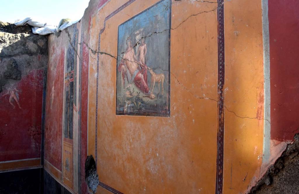 V.6.12 Pompeii. February 2019. Amb. 25. Atrium with vividly coloured walls and a fresco of Narcissus at the centre of south wall.  
Alle spalle dell'ambiente torna in luce anche parte dell'atrio della dimora, con pareti dai vividi colori e l'affresco di Narciso, al centro di una di esse.
Photograph © Parco Archeologico di Pompei.

