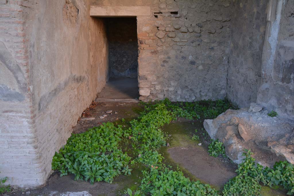 VI.2.4 Pompeii. December 2017. Looking west towards area on north side of oecus, near summer triclinium.
Foto Annette Haug, ERC Grant 681269 DÉCOR.
