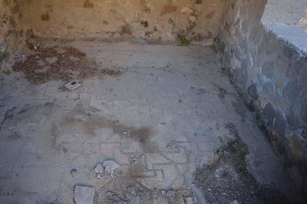 VI.2.4 Pompeii. March 2019. Looking south across floor mosaic in cubiculum.
Foto Annette Haug, ERC Grant 681269 DÉCOR.
