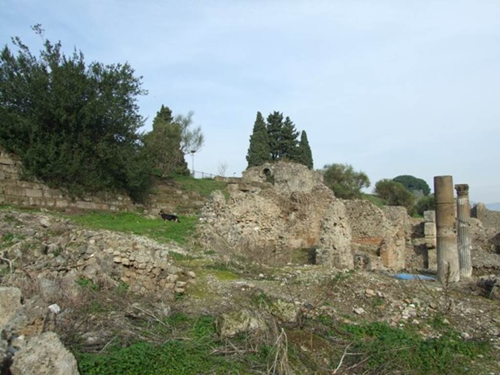 VI.2.18 Pompeii. December 2007. Looking north-east towards city walls and Tower XII.