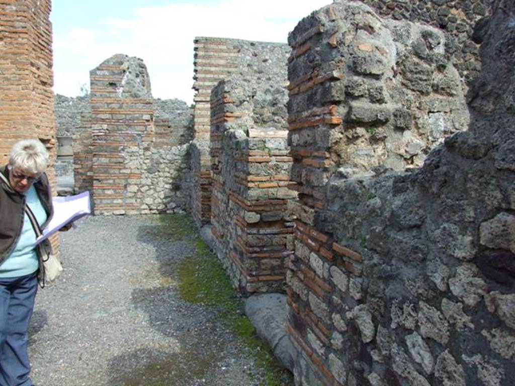 VI.3.3 Pompeii.  March 2009.  Looking east across south side of Room 1, Atrium.