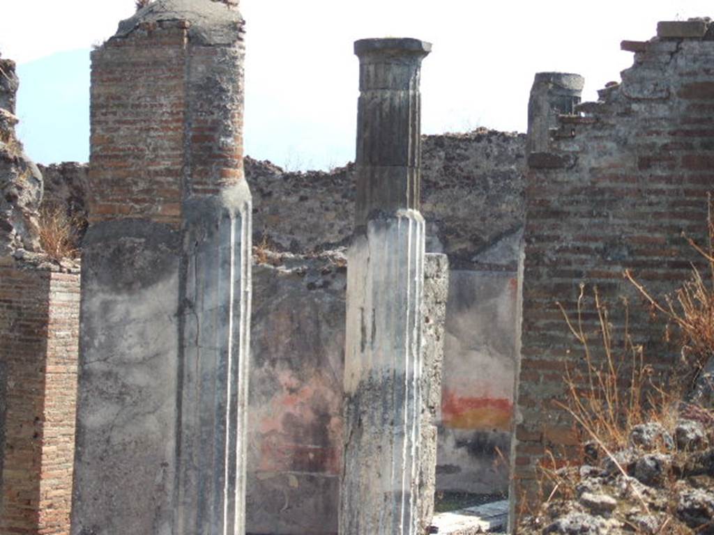 VI.7.20 Pompeii. September 2005. Looking towards east side of portico. In the centre would be the painted south wall of the tablinum. On its right would be the painted south wall of the large oecus. Taken over wall in Vicolo della Fullonica.
