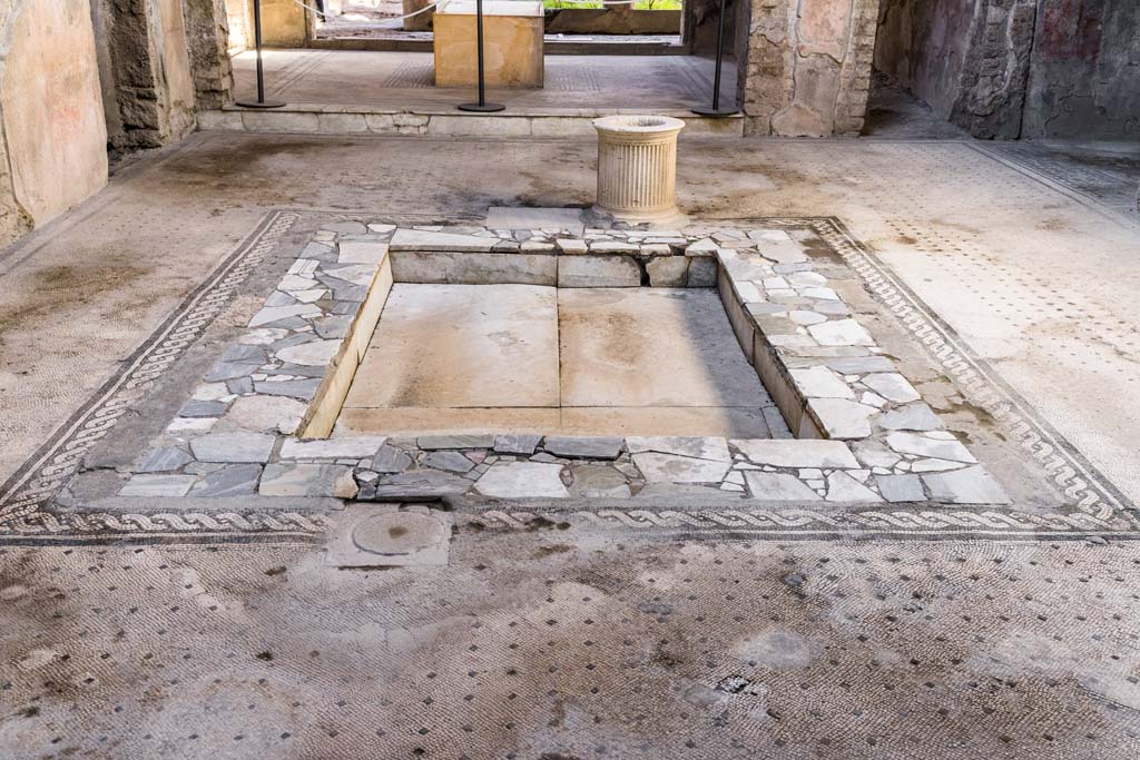 VI.8.3/5 Pompeii. April 2022. Looking north across impluvium in atrium. Photo courtesy of Johannes Eber.