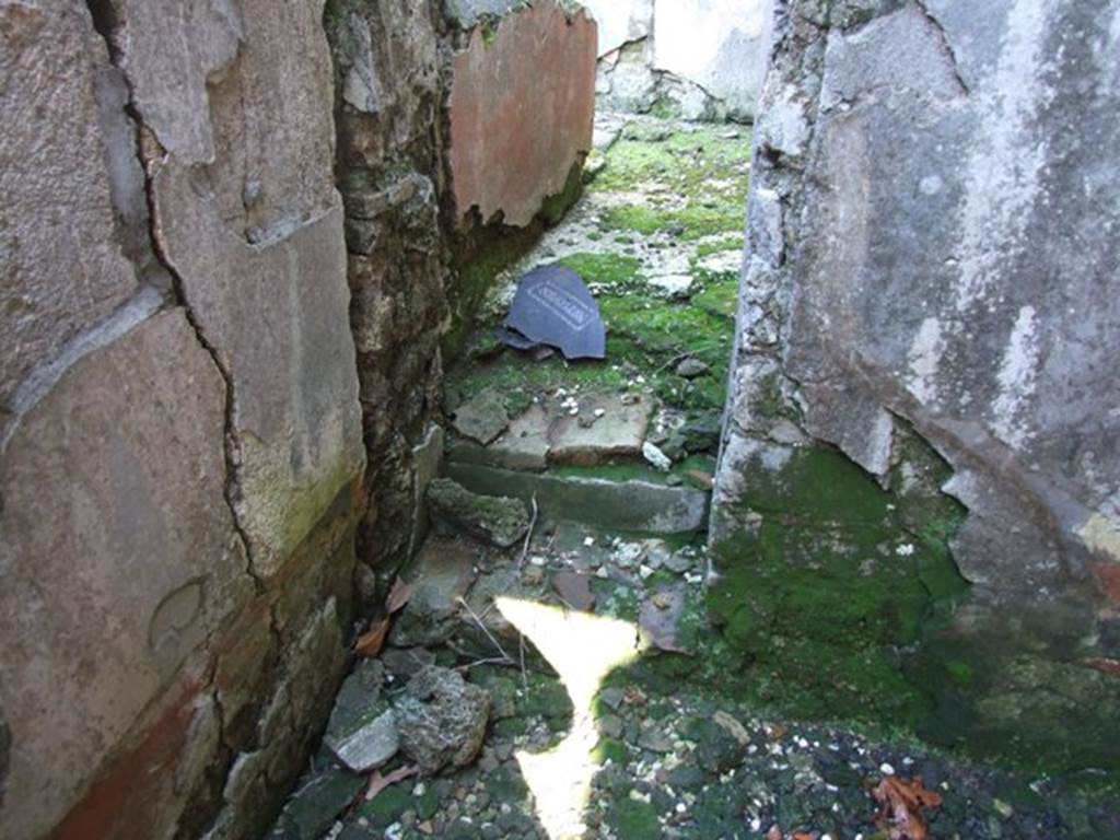 VI.8.20 Pompeii. March 2009.  Room 12.  Looking east along steps between room 12 and room 10.