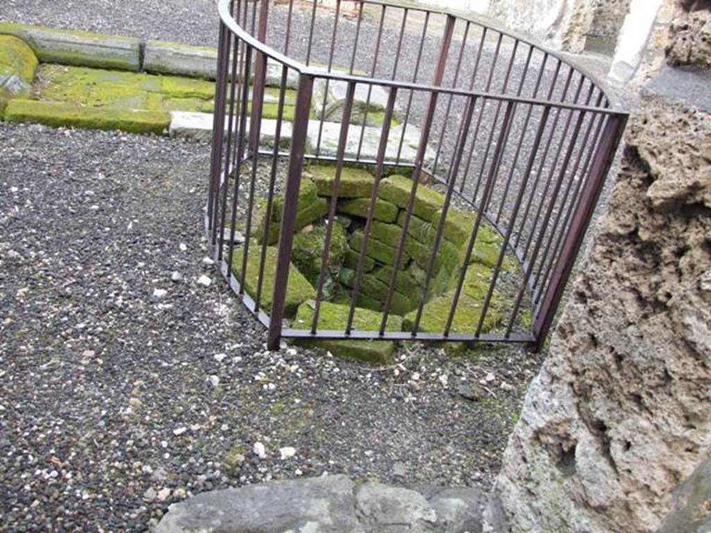 VI.10.6 Pompeii.  March 2009.  Room 1.  Well in atrium.