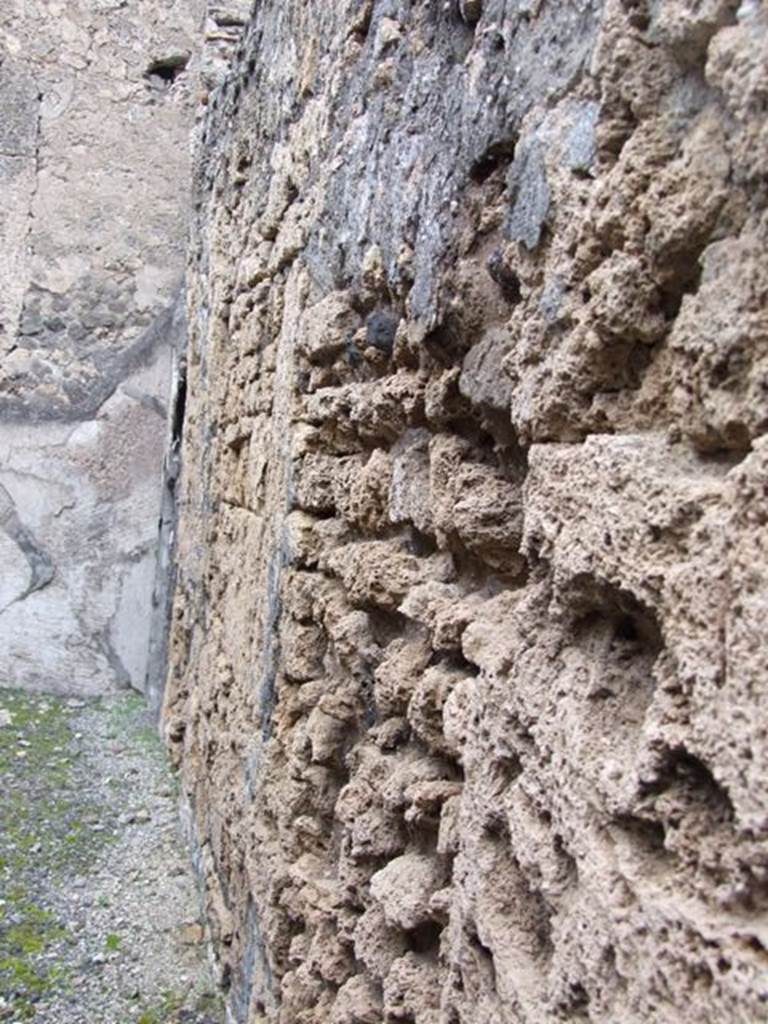 VI.10.11 Pompeii.  March 2009.  Room 9.  Oecus.  East wall.