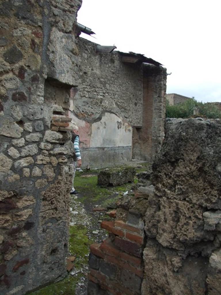 VI.10.11 Pompeii.  March 2009.  Room 15.  Looking north west to Triclinium from room 13.  