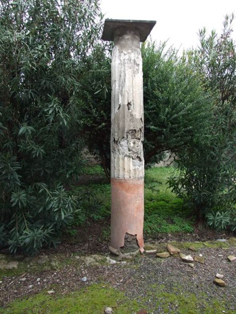 VI.10.11 Pompeii. March 2009. Room 17, column in portico of garden.