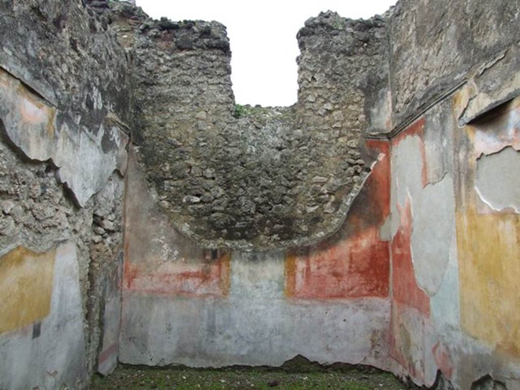 VI.11.9 Pompeii. March 2009. Room 6, west wall.