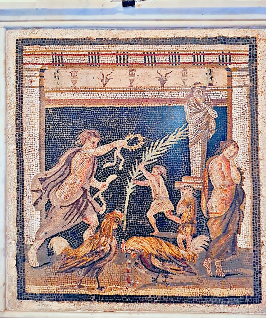 VI.11.10 Pompeii. Found in small room 44, on left side of room 43, on 10th September 1835.  
Mosaic showing a cock fight in the presence of two youths.
Now in Naples Archaeological Museum, inventory number 9982.
According to the information card –
Cockfight between the personifications of Victory and Defeat.
Mosaic emblema in opus vermiculatum.
The scene depicts a cockfight in which the losing bird is bleeding. 
The owners are shown in the background: the sad owner of the defeated bird is depicted on the right together with a manservant, while the owner of the victorious bird on the left offers a wreath to the statue of Priapus; a boy on the right carries the victory palm. 
(First half of the Ist century BC.)
(Lotta di galli tra le personificazioni delle Vittoria e della Sconfitta.
Emblema pavimentale in opus vermiculatum.
La scena raffigura una lotta di galli, con quello perdente che sanguina. 
In secondo piano, sono i proprietari: triste quello del gallo sconfitto, a destra, insieme a un servetto; mentre quello del gallo vittorioso, a sinistra, offre una corona alla statua di Priapo; un fanciullo, da destra, porta la palma della vittoria. Prima metà del I secolo a.C.)
Photo courtesy of Giuseppe Ciaramella. September 2024.
