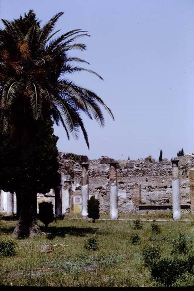 VI.12.2 Pompeii. 1968. Looking north across rear peristyle. Photo by Stanley A. Jashemski.
Source: The Wilhelmina and Stanley A. Jashemski archive in the University of Maryland Library, Special Collections (See collection page) and made available under the Creative Commons Attribution-Non Commercial License v.4. See Licence and use details.
J68f0577
