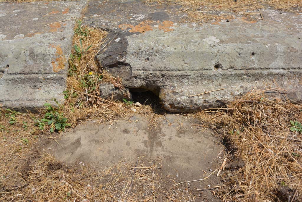 VI.12.5 Pompeii. 14th July 2017. Detail from east side of impluvium in Secondary Atrium. 
Foto Annette Haug, ERC Grant 681269 DÉCOR.
