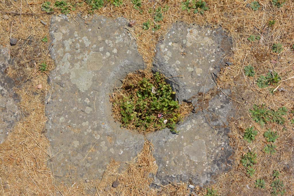 VI.12.5 Pompeii. 14th July 2017. Detail of cistern-mouth on south side of impluvium in atrium 7.   
Foto Annette Haug, ERC Grant 681269 DÉCOR.
