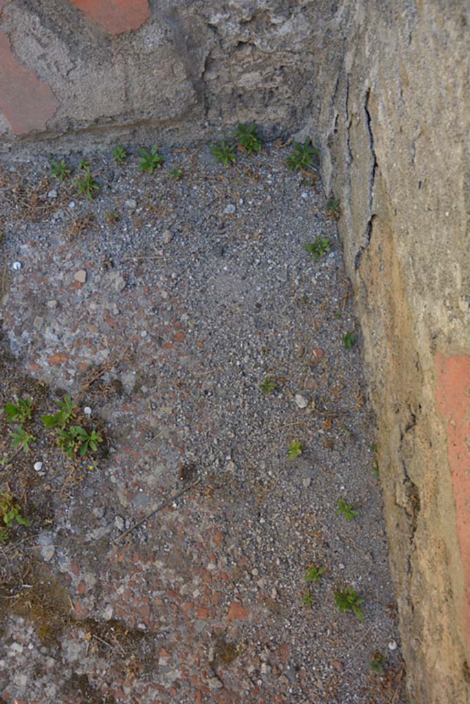 VI.13.6 Pompeii. July 2017. Flooring in cubiculum on west side of atrium.
Foto Annette Haug, ERC Grant 681269 DÉCOR.
According to PPM –
“Flooring in cocciopesto: the poor conservation conditions no longer allow you to recognize the dotted white tiles seen by Pernice.”
(p.169)

