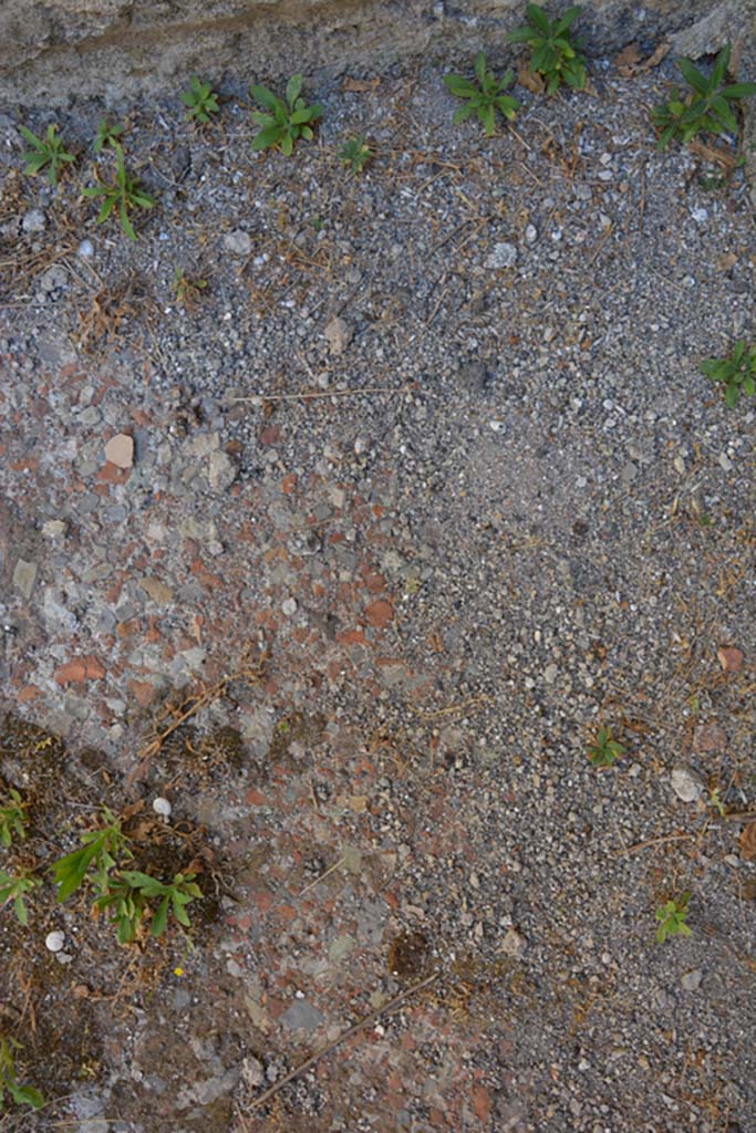 VI.13.6 Pompeii. July 2017. Detail of flooring in cubiculum.
Foto Annette Haug, ERC Grant 681269 DÉCOR.

