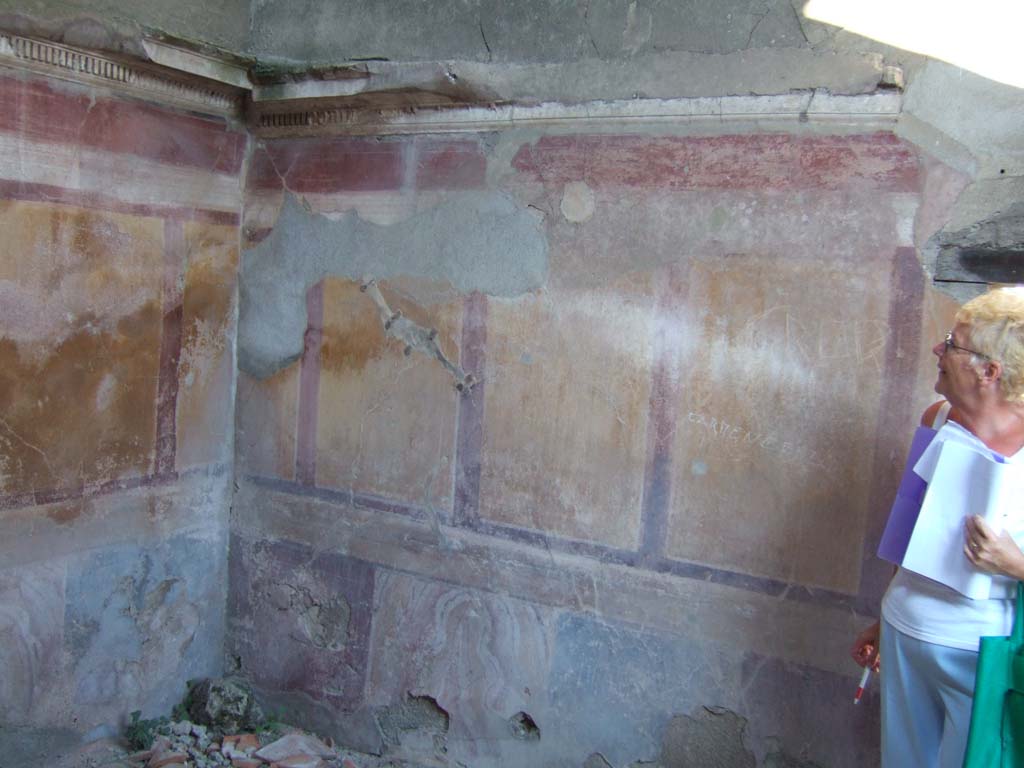VI.13.19 Pompeii. September 2005. Cubiculum on the north side of atrium, painted wall decoration on east wall.